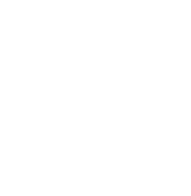 icon (11)
